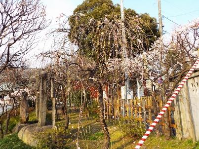 金（かね）偏に失う」と書く「鉄」人の貧乏雑日記！！ ステンレス